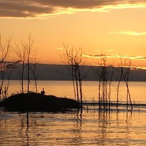 Meet your Posher, Maggie